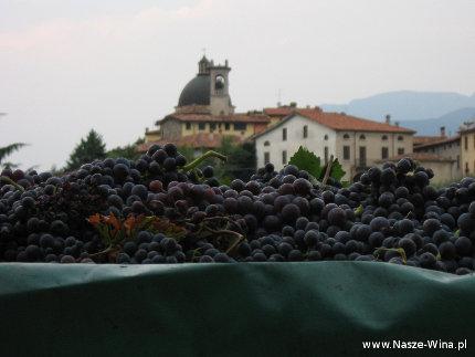 cantina_marsadri_1