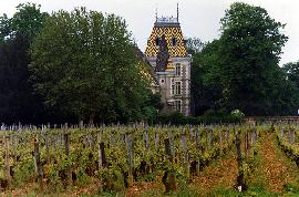 7_skarbow_Burgundia_Corton