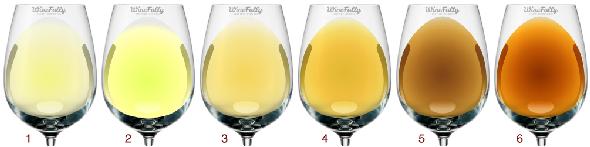 Biale_wina_po_kolorze_wykres