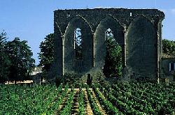 Bordeaux_winnica