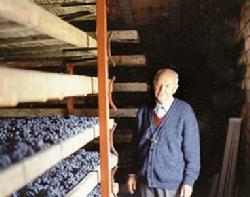 Giuseppe_Quintarelli