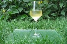 Vinho_Verde_kieliszek