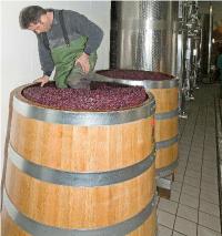 WinnicaCantinaNegrar2