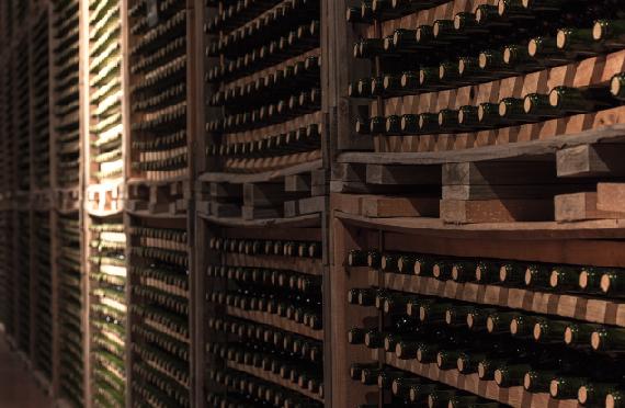 wino_butelki_piwnica